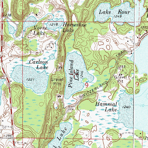 Topographic Map of Pine Island Lake, MN