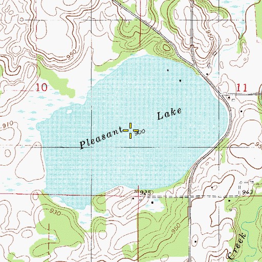 Topographic Map of Pleasant Lake, MN