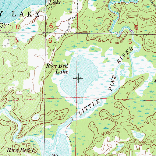 Topographic Map of Rice Bed Lake, MN