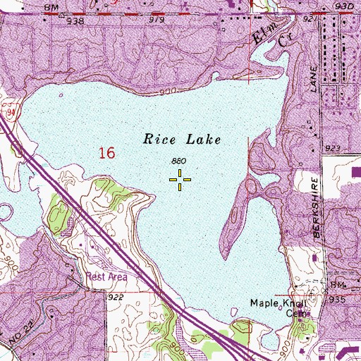 Topographic Map of Rice Lake, MN