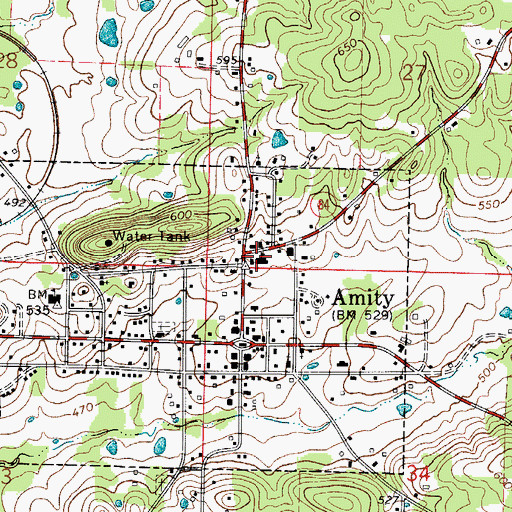 Topographic Map of Amity Elementary School, AR