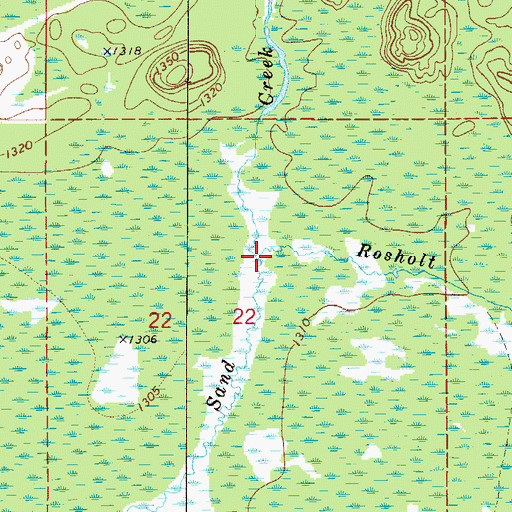 Topographic Map of Rosholt Creek, MN