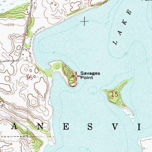 Topographic Map of Savages Point, MN