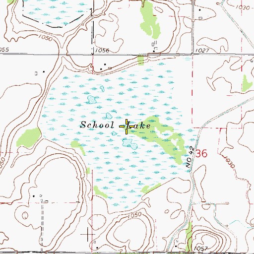 Topographic Map of School Lake, MN