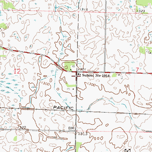 Topographic Map of School Number 1954, MN