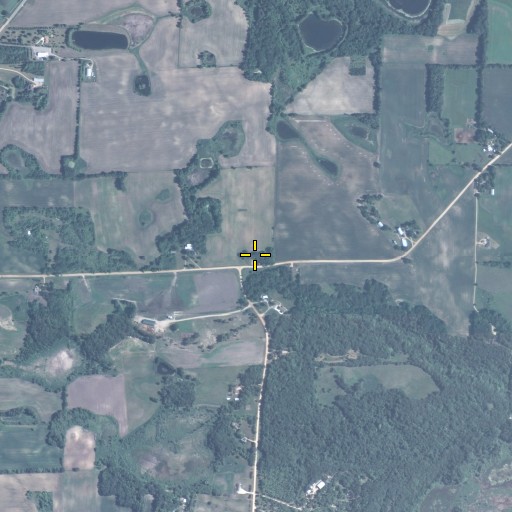 Aerial/Satellite Image of School Number 22, MN