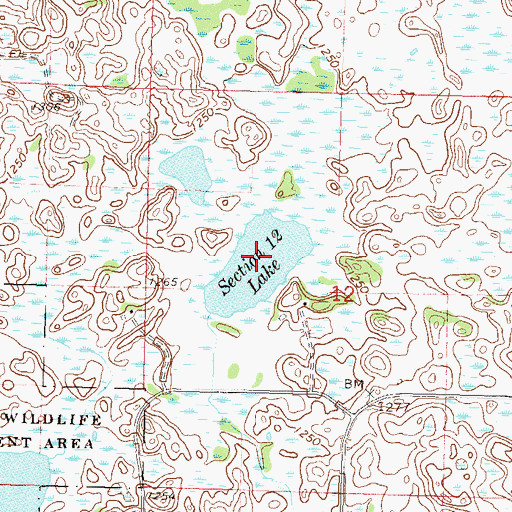 Topographic Map of Section Twelve Lake, MN
