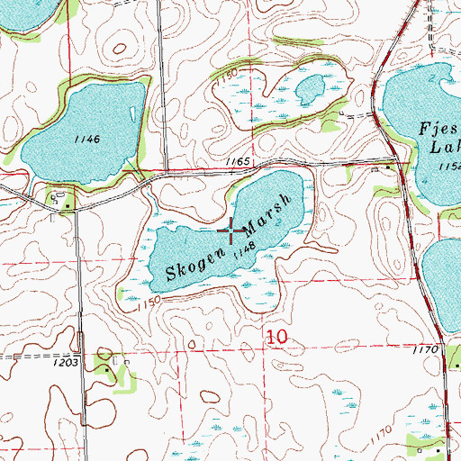 Topographic Map of Skogen Marsh, MN