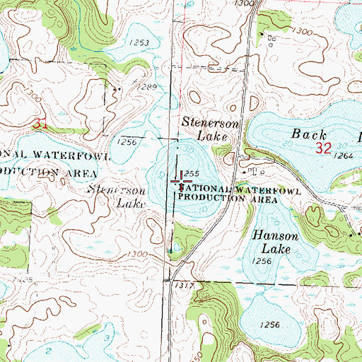 Topographic Map of Stenerson Lake, MN