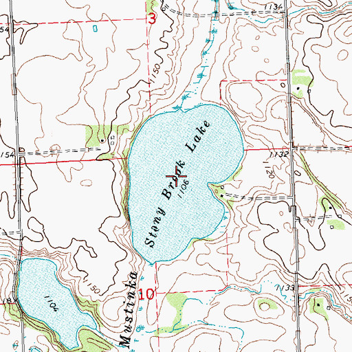 Topographic Map of Stony Brook Lake, MN