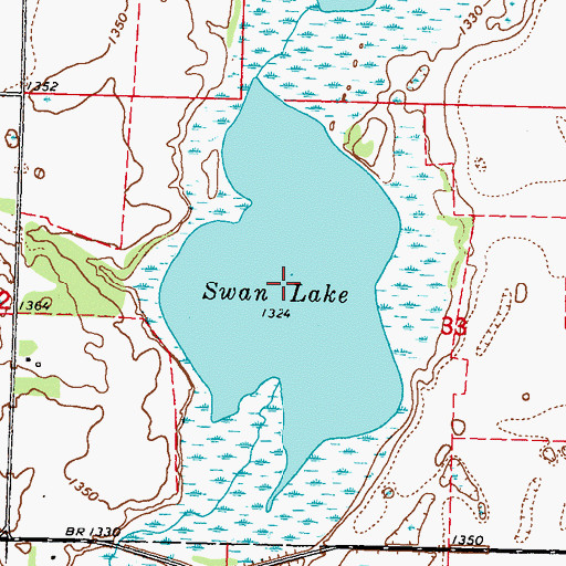 Topographic Map of Swan Lake, MN