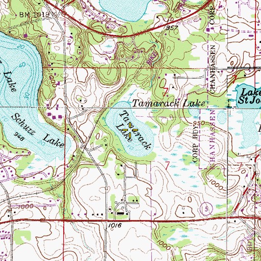 Topographic Map of Tamarack Lake, MN