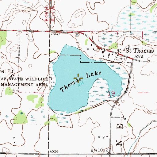 Topographic Map of Thomas Lake, MN