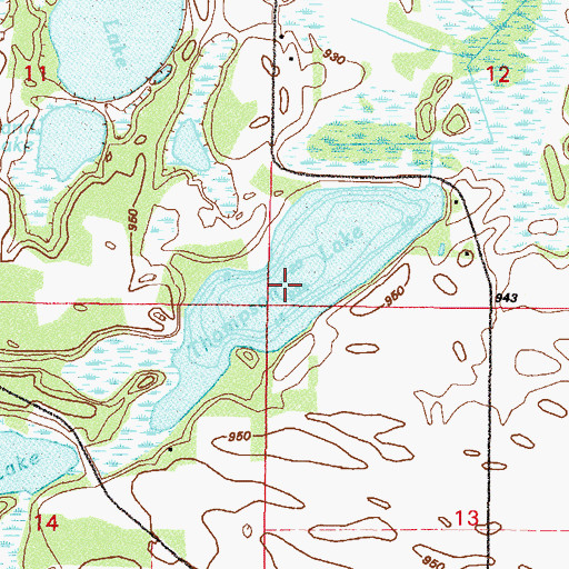 Topographic Map of Thompson Lake, MN