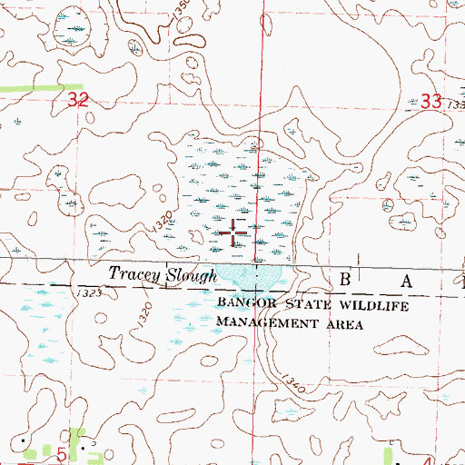 Topographic Map of Tracey Slough, MN