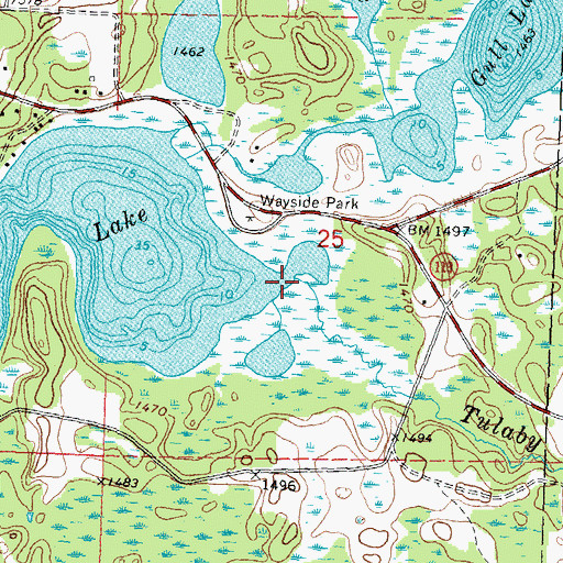 Topographic Map of Tulaby Creek, MN