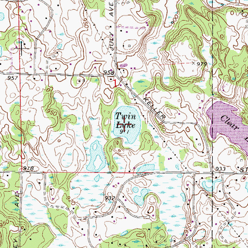 Topographic Map of Twin Lake, MN