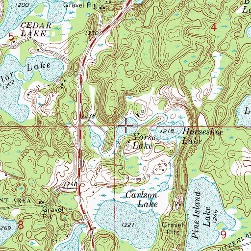 Topographic Map of Vorse Lake, MN