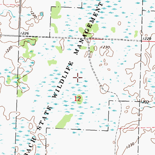 Topographic Map of Wambach State Wildlife Management Area, MN