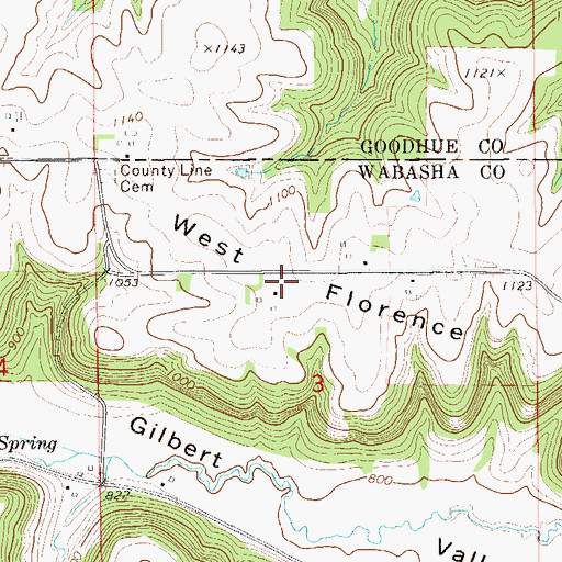 Topographic Map of West Florence Ridge, MN