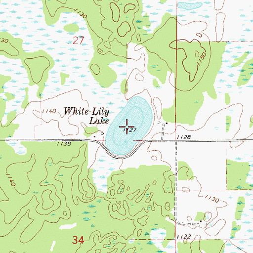 Topographic Map of White Lily Lake, MN