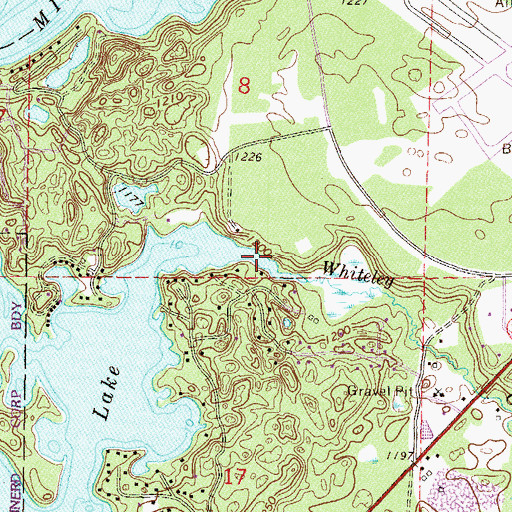 Topographic Map of Whiteley Creek, MN