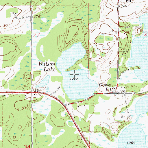 Topographic Map of Wilson Lake, MN