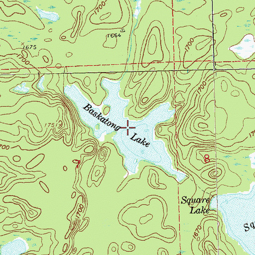 Topographic Map of Baskatong Lake, MN