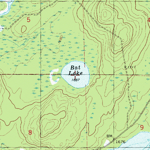Topographic Map of Bat Lake, MN