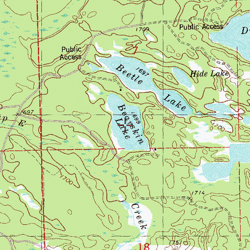 Topographic Map of Bearskin Lake, MN