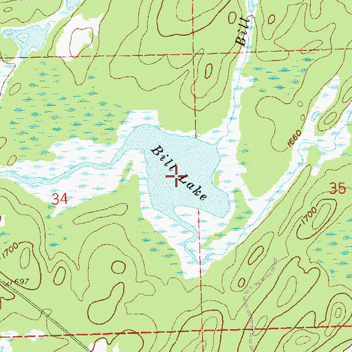 Topographic Map of Bill Lake, MN