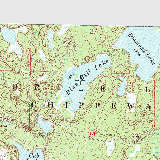 Topographic Map of Blue Bill Lake, MN