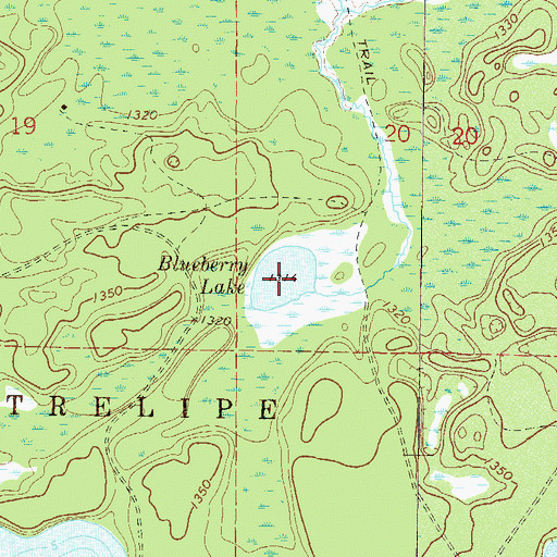 Topographic Map of Blueberry Lake, MN