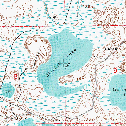 Topographic Map of Bluebill Lake, MN