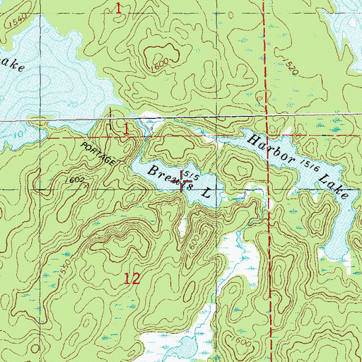 Topographic Map of Brewis Lake, MN