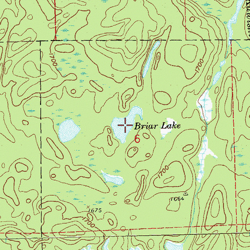 Topographic Map of Briar Lake, MN