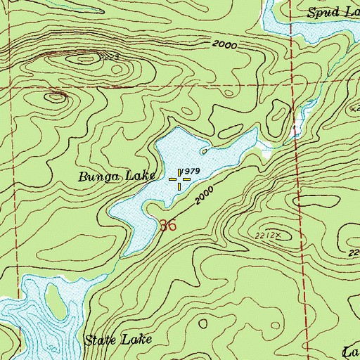 Topographic Map of Bunga Lake, MN