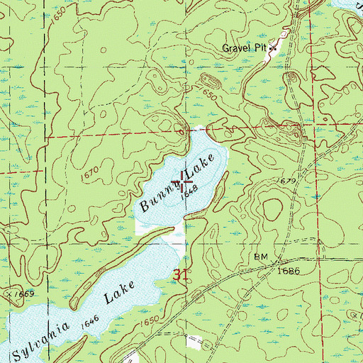 Topographic Map of Bunny Lake, MN