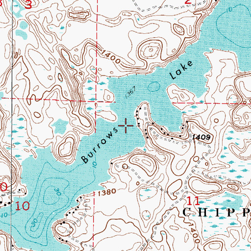 Topographic Map of Burrows Lake, MN