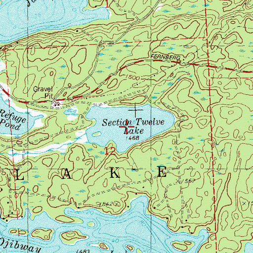Topographic Map of Section Twelve Lake, MN