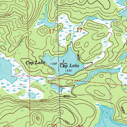 Topographic Map of Cap Lake, MN