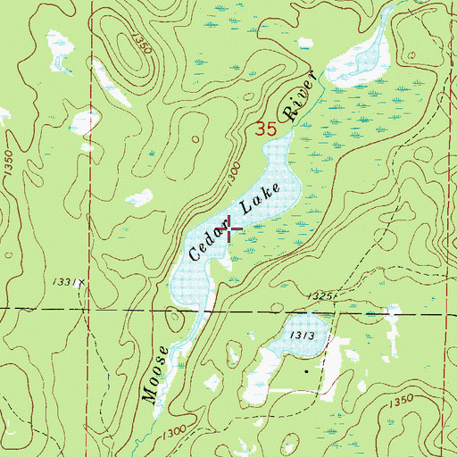 Topographic Map of Cedar Lake, MN