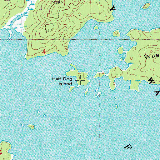 Topographic Map of Half Dog Island, MN