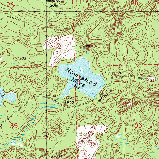 Topographic Map of Homestead Lake, MN