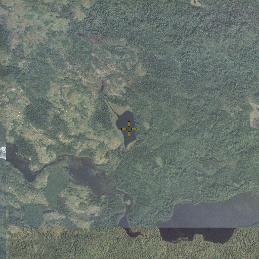 Aerial/Satellite Image of Iota Lake, MN