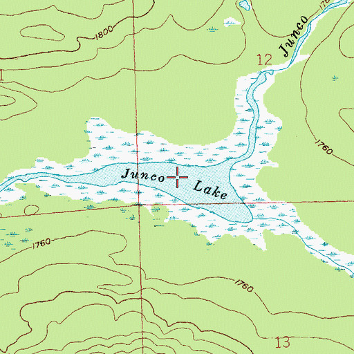 Topographic Map of Junco Lake, MN