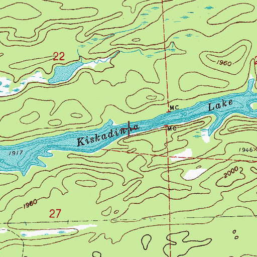 Topographic Map of Kiskadinna Lake, MN