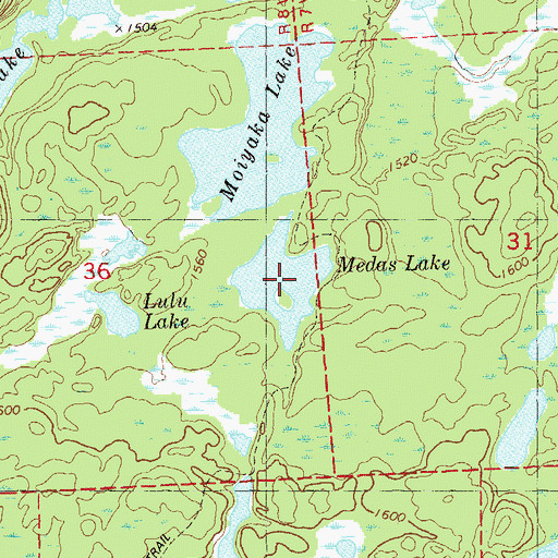 Topographic Map of Medas Lake, MN