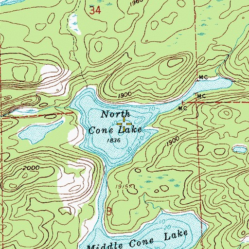 Topographic Map of North Cone Lake, MN