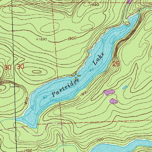 Topographic Map of Partridge Lake, MN
